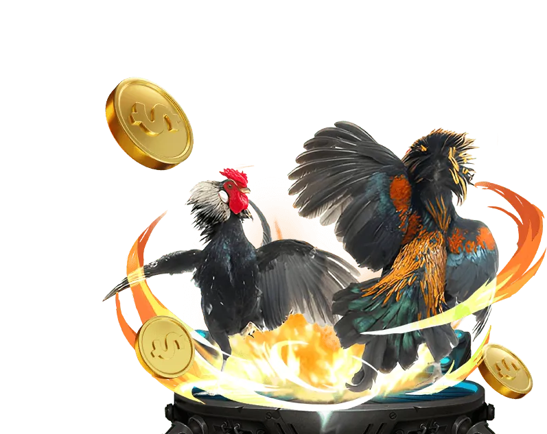 Chiến lược và mẹo cá cược thể thao hiệu quả